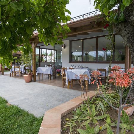 Cilentiamoci Guest House Centola Exterior photo
